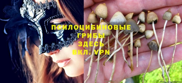 не бодяженный Инсар