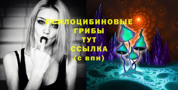не бодяженный Инсар